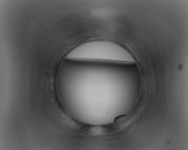 X0000093410269200710120922