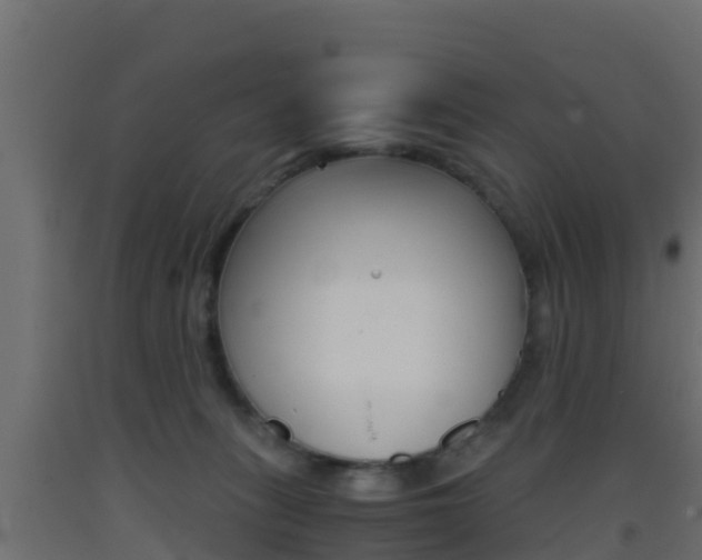 X0000093410275200710120922
