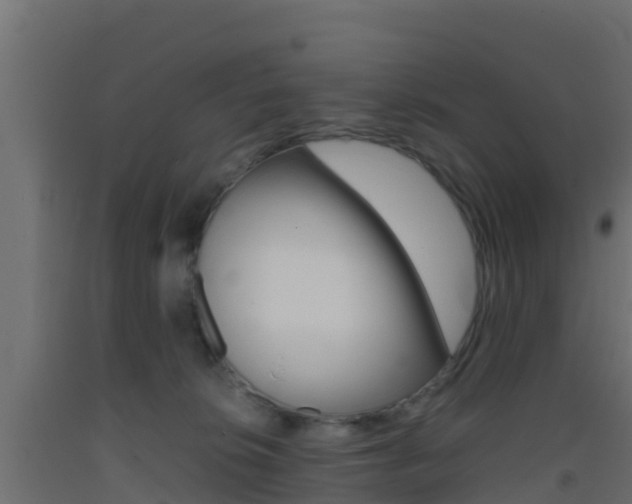 X0000093410276200710120922