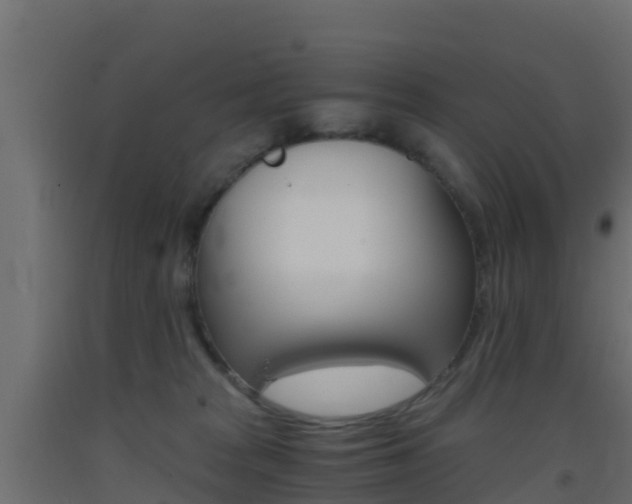 X0000093410277200710120922