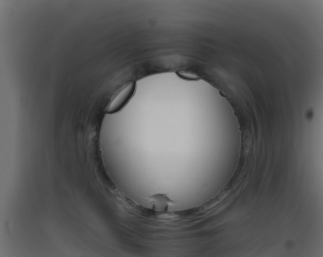 X0000093410279200710120922