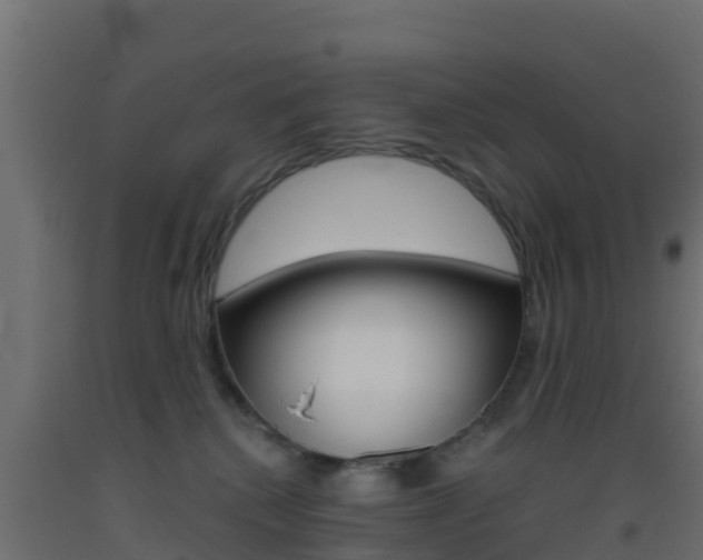 X0000093410280200710120922
