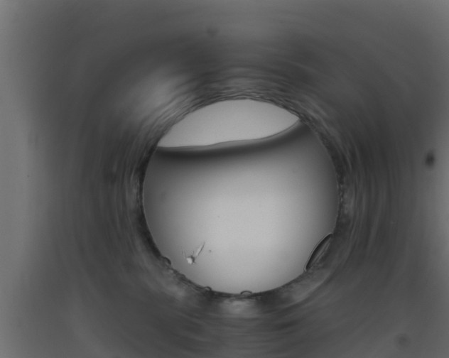 X0000093410283200710120922