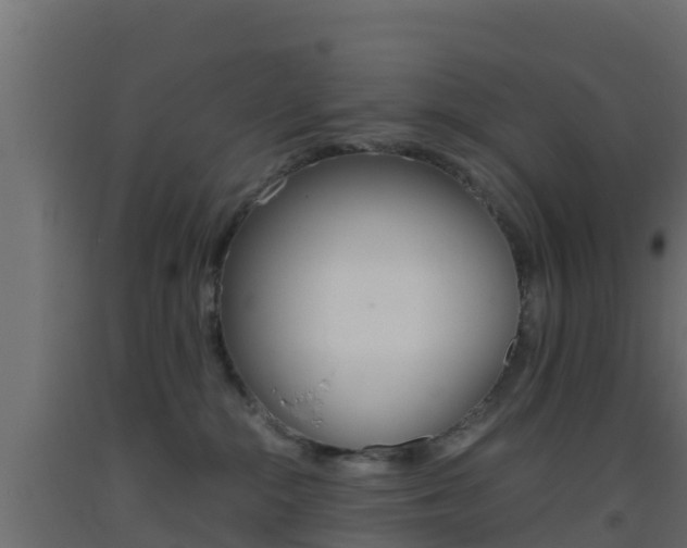 X0000093410284200710120922