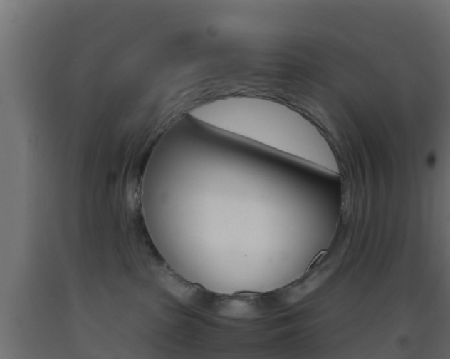 X0000093410285200710120922