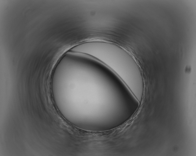 X0000093410289200710120921
