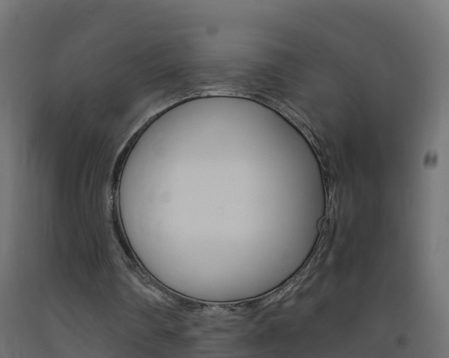 X0000093410290200710120921