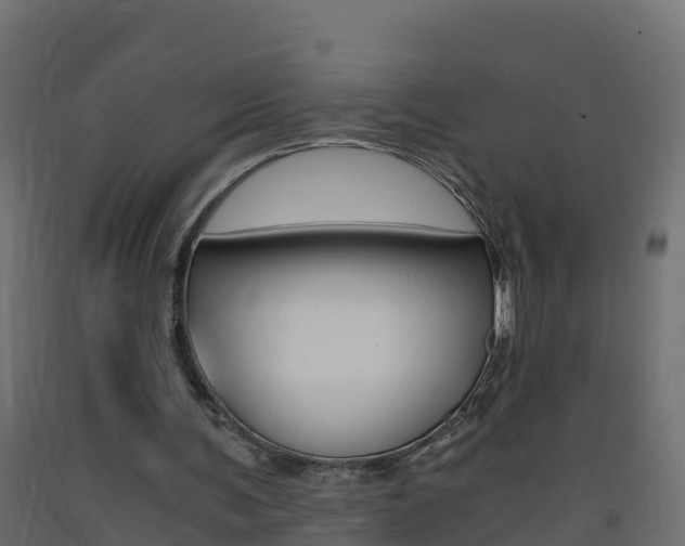 X0000093410291200710120921