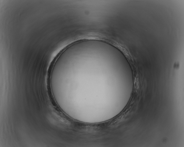 X0000093410292200710120921