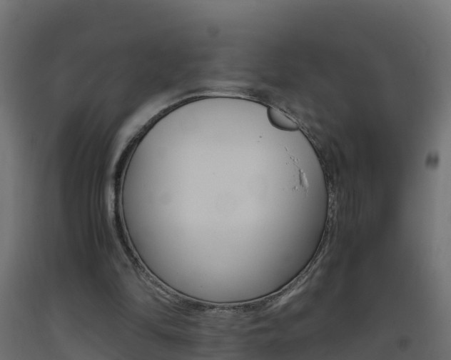X0000093410294200710120921