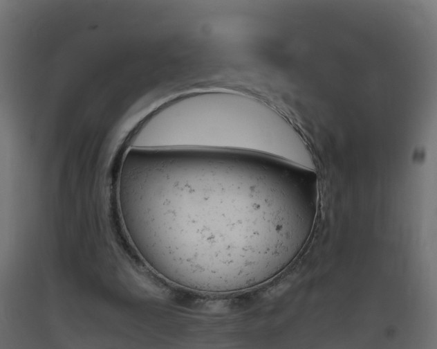 X0000093410295200710120921