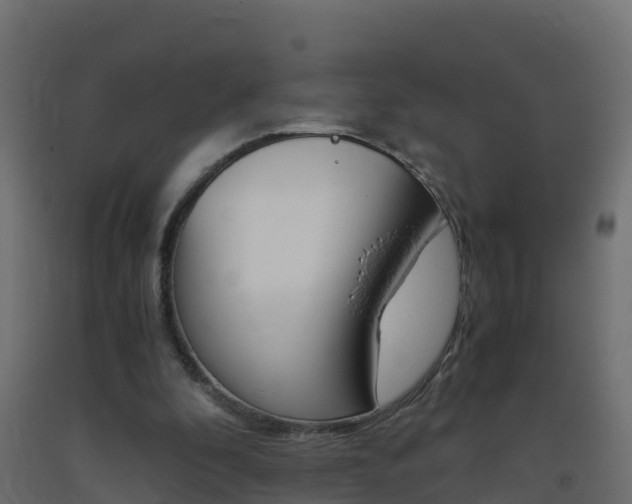 X0000093410296200710120921