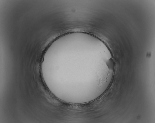 X0000093410297200710120921