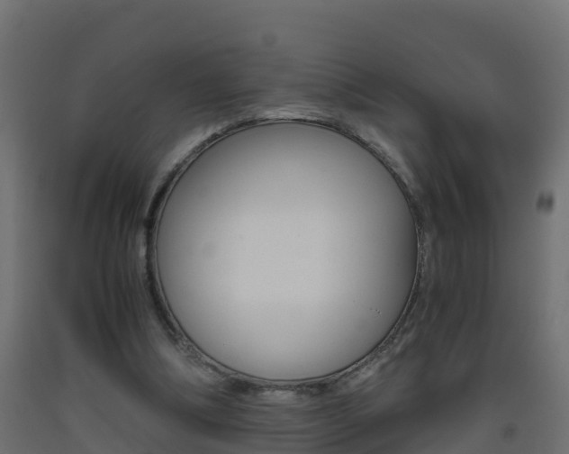 X0000093410298200710120921