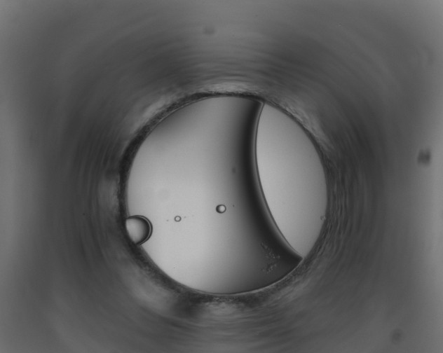 X0000093410300200710120921