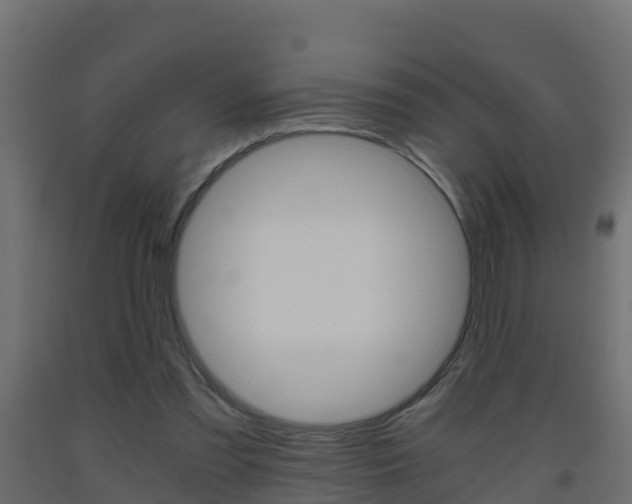 X0000093410301200710120921