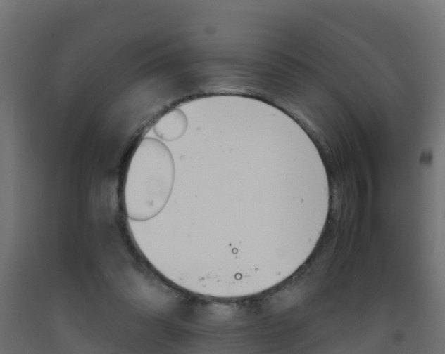 X0000093410302200710120921