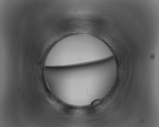 X0000093410303200710120921