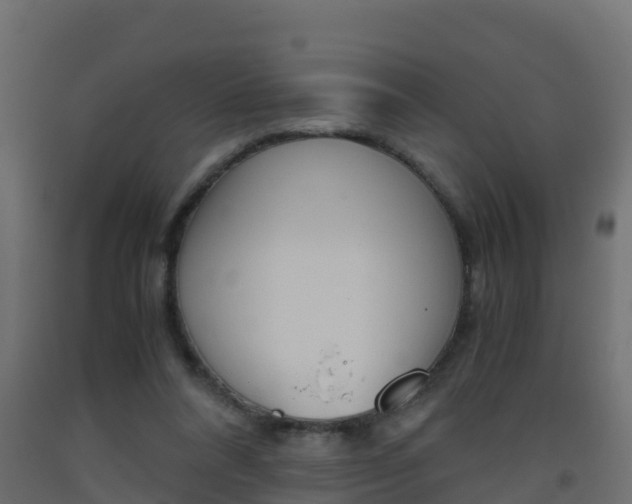 X0000093410304200710120921