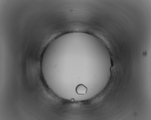 X0000093410306200710120921