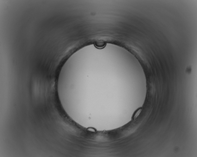 X0000093410308200710120921