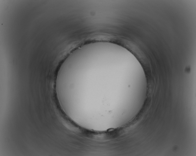 X0000093410309200710120921