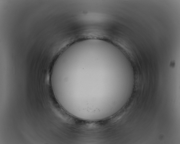 X0000093410310200710120921