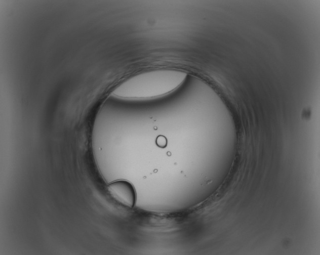 X0000093410311200710120921