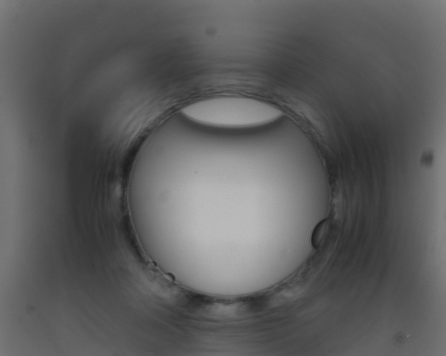 X0000093410314200710120921