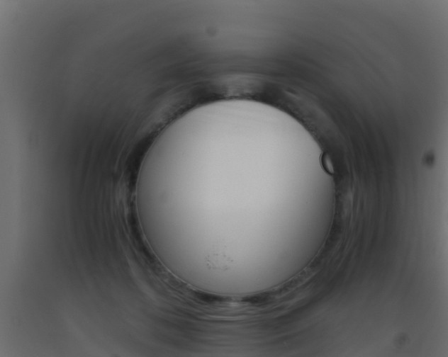 X0000093410316200710120921
