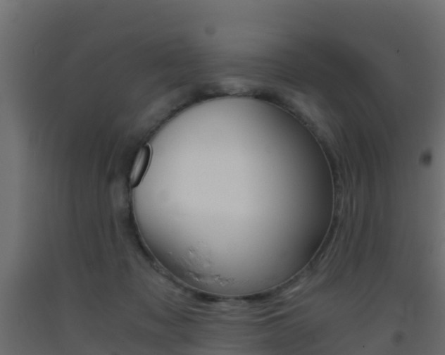 X0000093410317200710120921