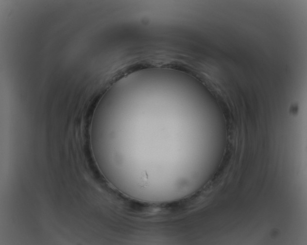 X0000093410319200710120921