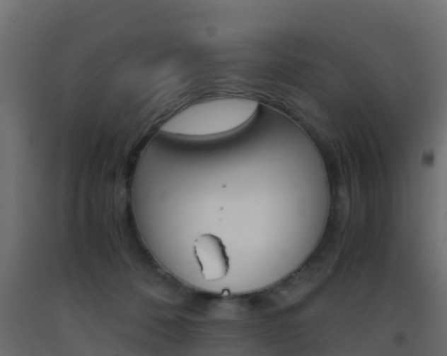 X0000093410320200710120921