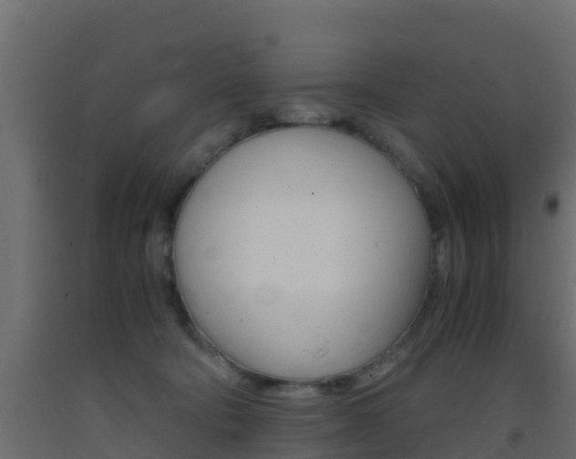 X0000093410322200710120921