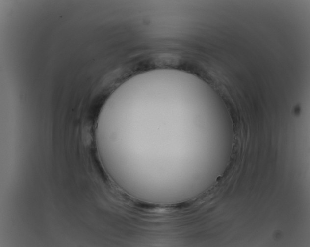 X0000093410323200710120921