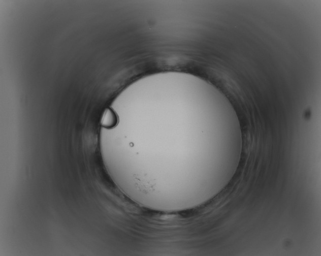 X0000093410324200710120921