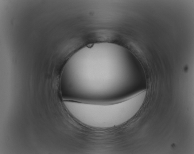 X0000093410325200710120921