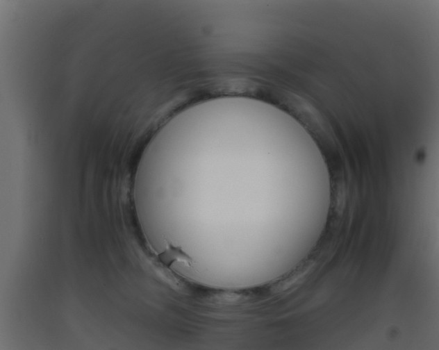 X0000093410326200710120921