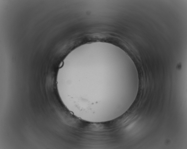 X0000093410328200710120921