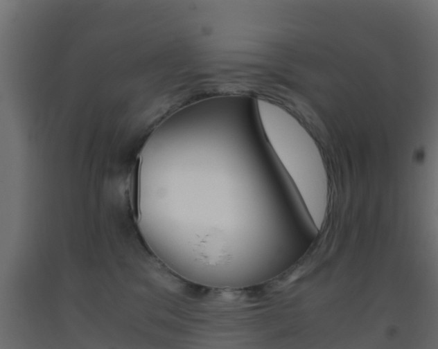 X0000093410329200710120921