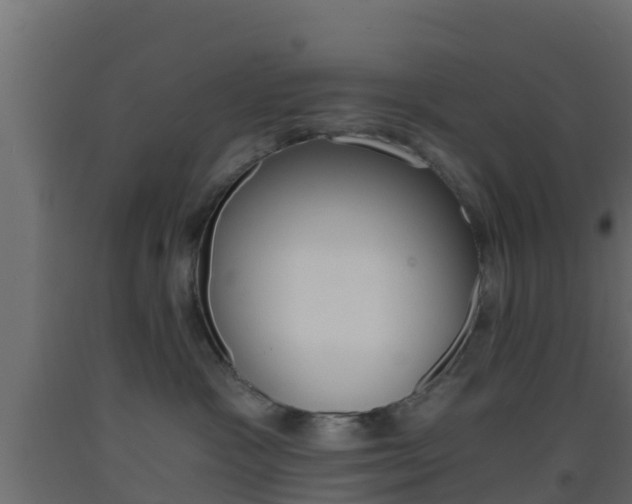 X0000093410333200710120921