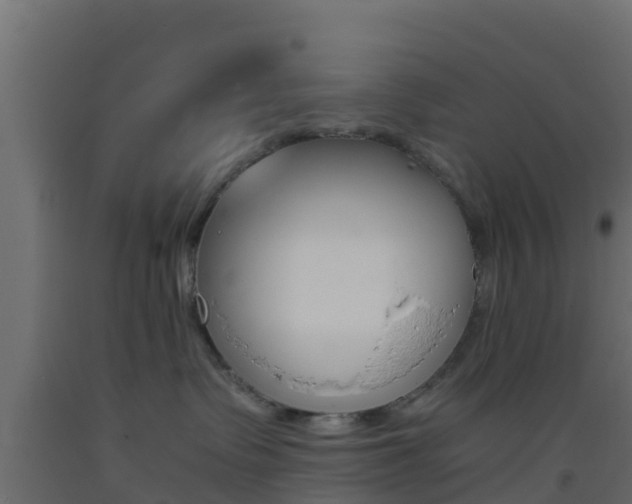 X0000093410335200710120921