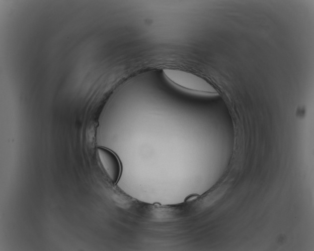 X0000093410336200710120921