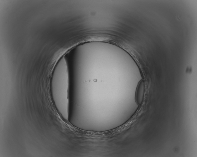X0000093410337200710120920