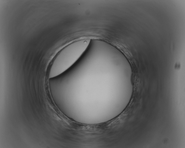 X0000093410338200710120920