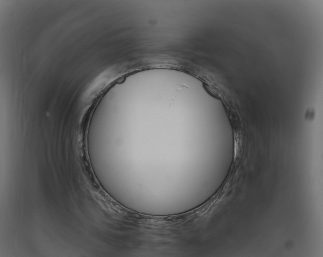 X0000093410339200710120920
