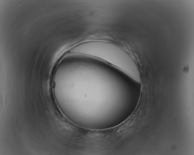 X0000093410340200710120920