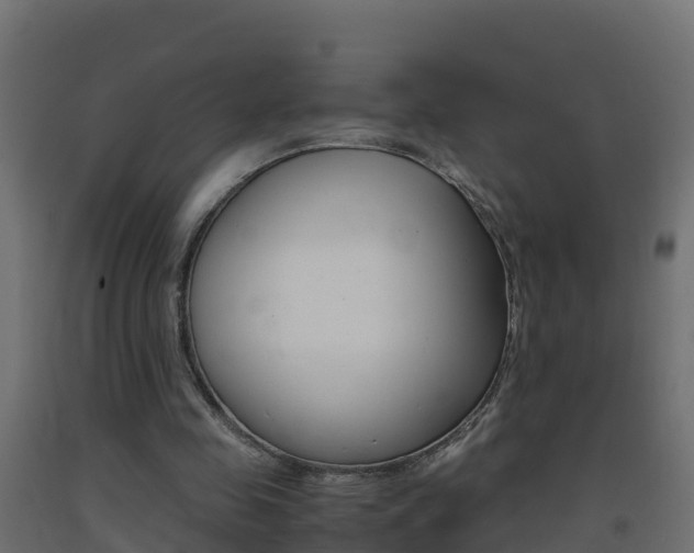 X0000093410341200710120920