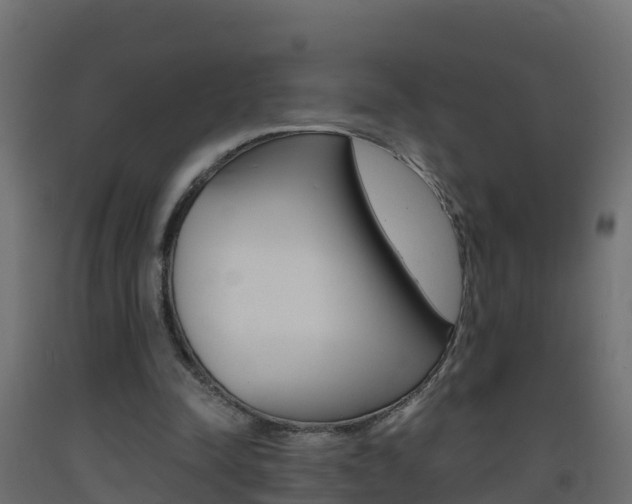 X0000093410342200710120920
