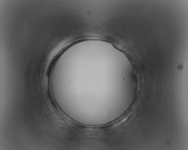 X0000093410343200710120920